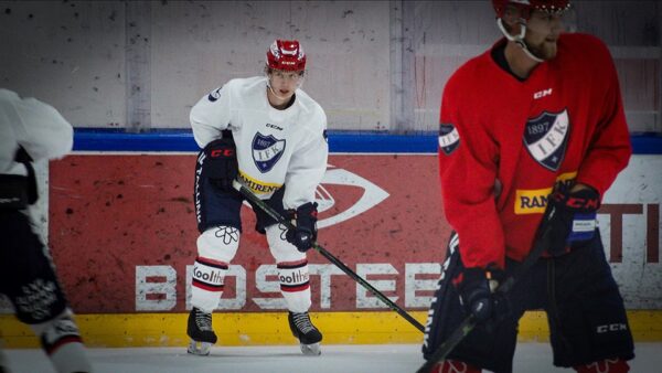 TIEDOTE: HIFK sopimukseen Elis Heden kanssa