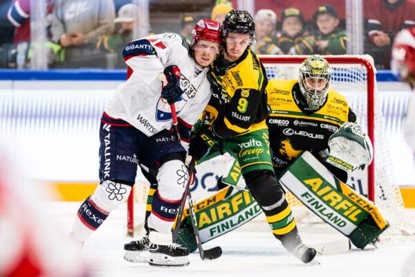 Vielä kerran Tampereelle – HIFK kohtaa Ilveksen pronssiottelussa