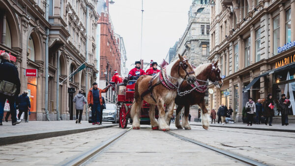 Panimohevoset maalaa Stadin punaiseksi!