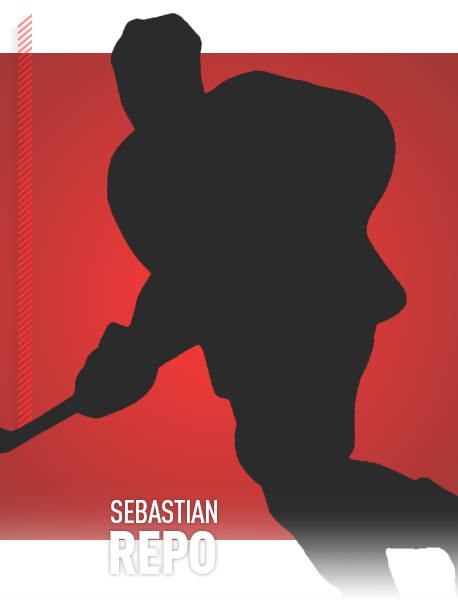 Sebastian Repo